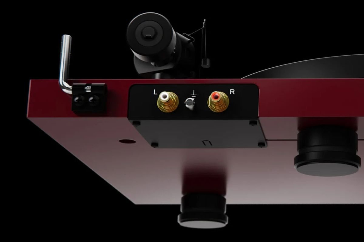 Connectiques arrière de la Pro-Ject Debut EVO 2 — sortie RCA et borne de masse