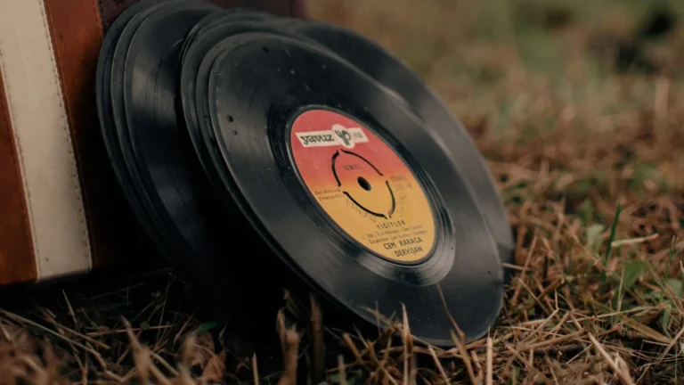 Disques vinyle posés dehors sur l'herbe sèche, exposés à la chaleur de l'été