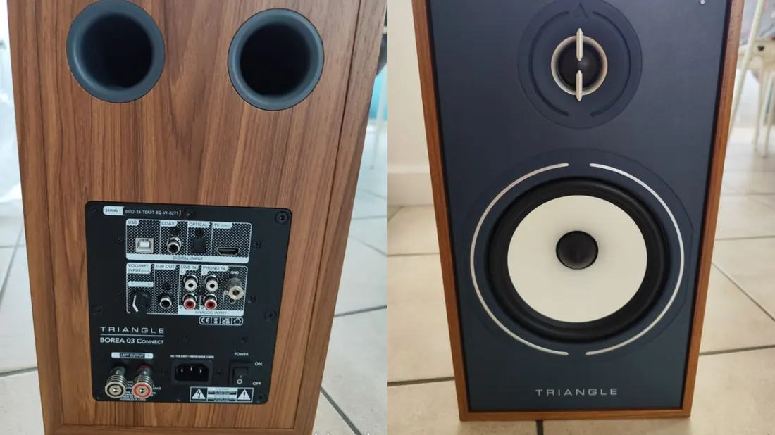 Panneau arrière d'une Triangle Borea BR03 Connect : entrées USB, optique, HDMI ARC, phono et sortie caisson — la version active, à ne pas confondre avec la BR03 passive à simple bornier